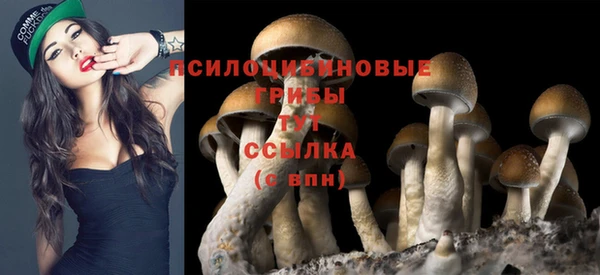 тгк Алексеевка