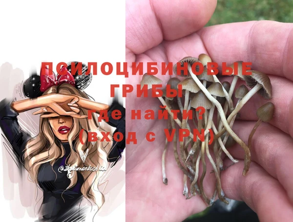 ALPHA-PVP Армянск