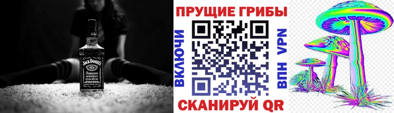 Галлюциногенные грибы мицелий  цены   Вихоревка 